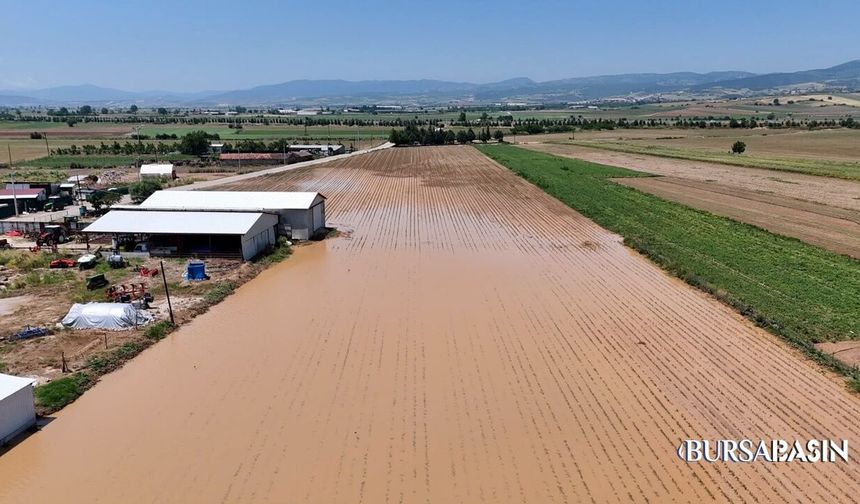 Yenişehir’de Dolu Felaketi: Binlerce Dönüm Zarar Gördü