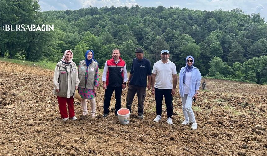 Orhaneli’de Atıl Araziler Üretime Açılıyor