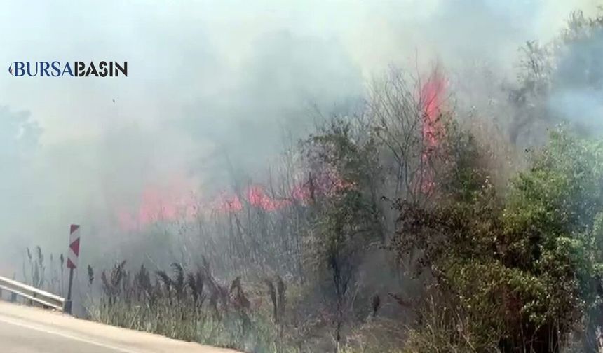 Karacabey Yolunda Korkutan Yangın Paniği