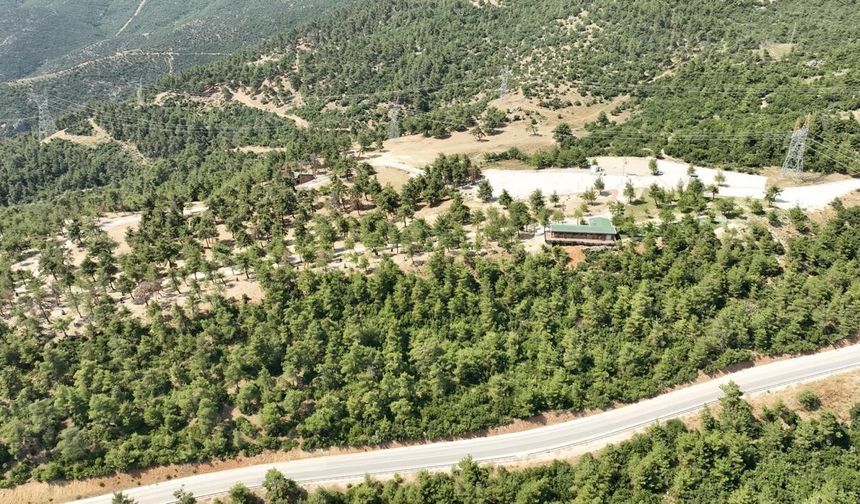Gürsu Kule Orman Park Yeniden Açılıyor