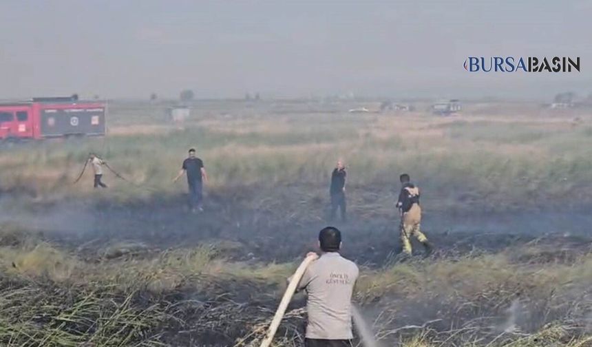 Karacabey’de Fabrika Yakınında Otluk Yangını