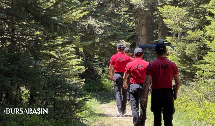 Bursa’da Ormanlara Giriş Yasaklandı