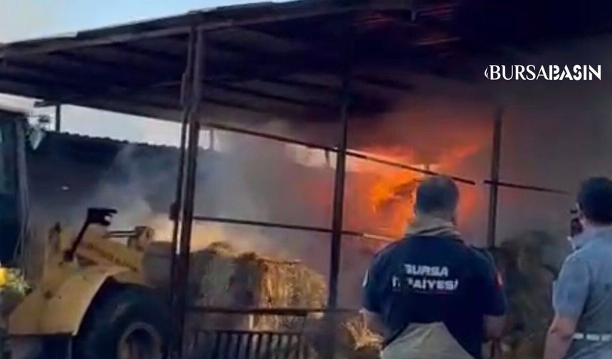 Karacabey’de Çiftlik Yangını: 4 Hayvan Telef Oldu