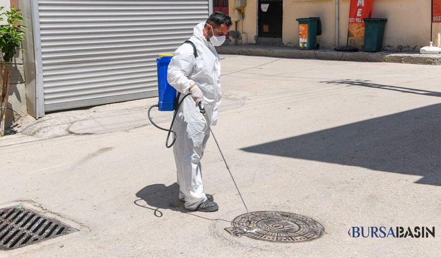 Hamitler'de Haşere İhbarına Osmangazi'den Hızlı Müdahale