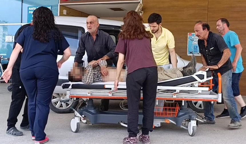 Bursa'da Mantar Toplamaya Giden İmam Ağır Yaralandı