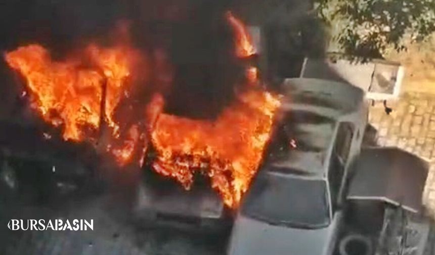 Gemlik'te Otopark Yangını: 3 Otomobil Küle Döndü