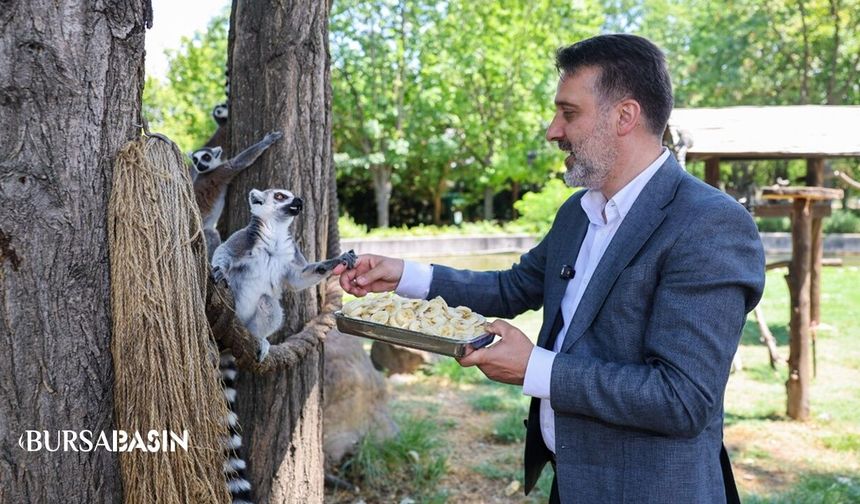 Bursa Hayvanat Bahçesi İçin Yeni Dönem Mesajı