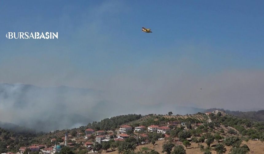 Ayvalık ve Gömeç'te Orman Yangınıyla Zaman Yarışı