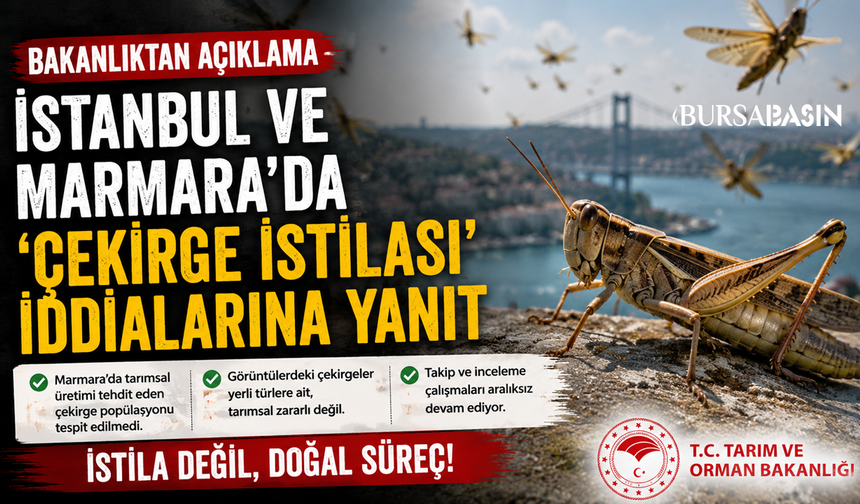 Bakanlıktan Çekirge İstilası İddialarına Net Yanıt