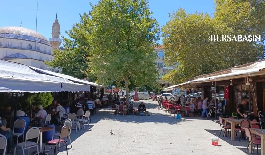 Mudanya'da Hal İhalesi Tartışma Yarattı