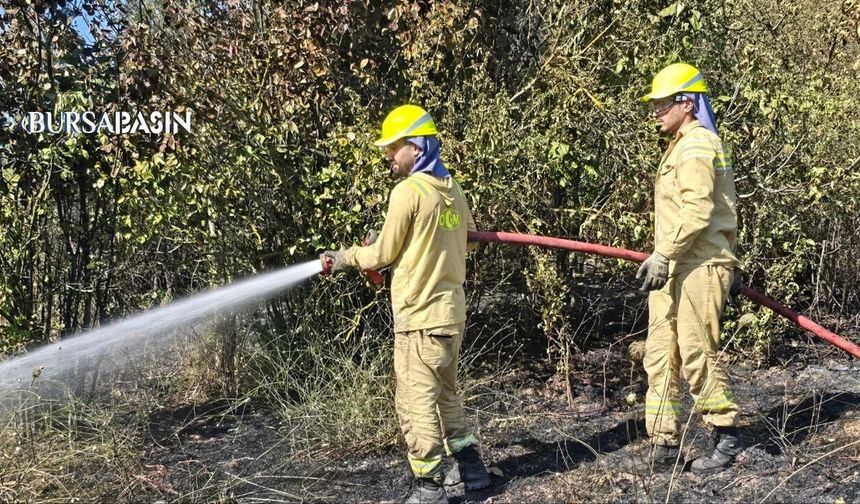 Mudanya’da Tarım Arazisi Yangını Evlere Ulaşmadan Söndürüldü