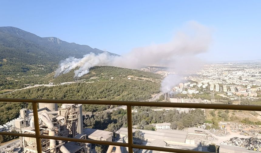 Bursa Kestel’de 3 Noktada Orman Yangını Paniği