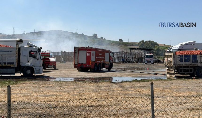 Mustafakemalpaşa’da Fabrika Bahçesinde Yangın Paniği