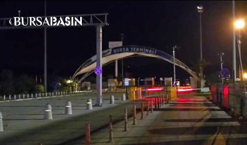 İDO deniz otobüsü Mudanya İskelesi’ne çarptı