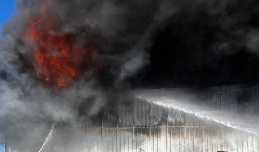 Yenişehir’de siyah incir deposunda yangın!