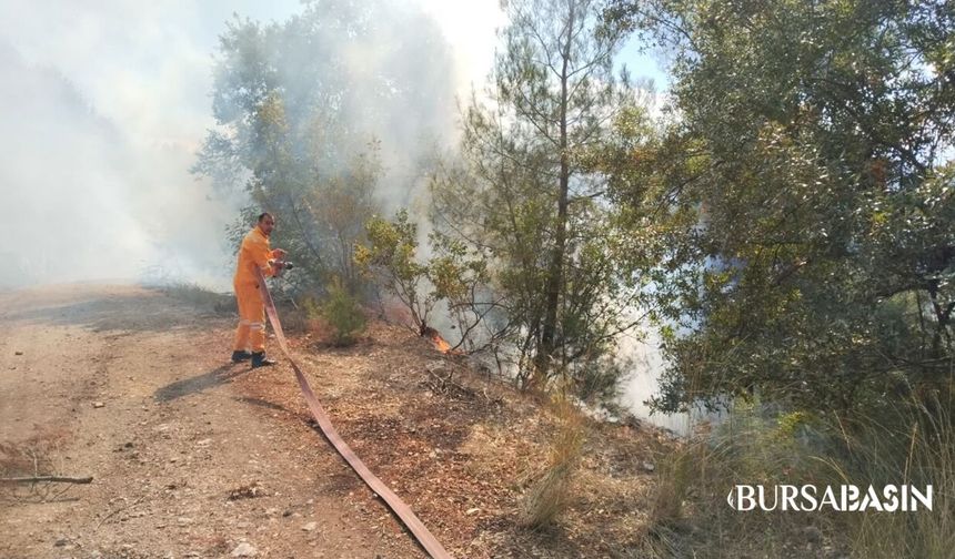 Keles’te Ormanlık Alanda Yangın Alarmı