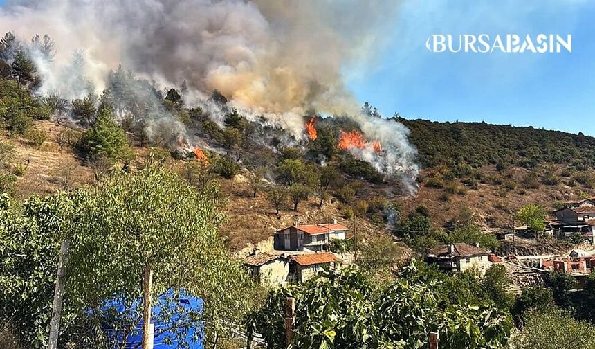 Büyükorhan’da orman yangını: Ekipler sevk edildi