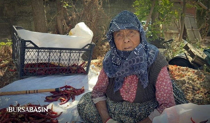 90 yaşındaki Şükriye İnan'ın evlat sevgisi! 11 Saat çalışıyor