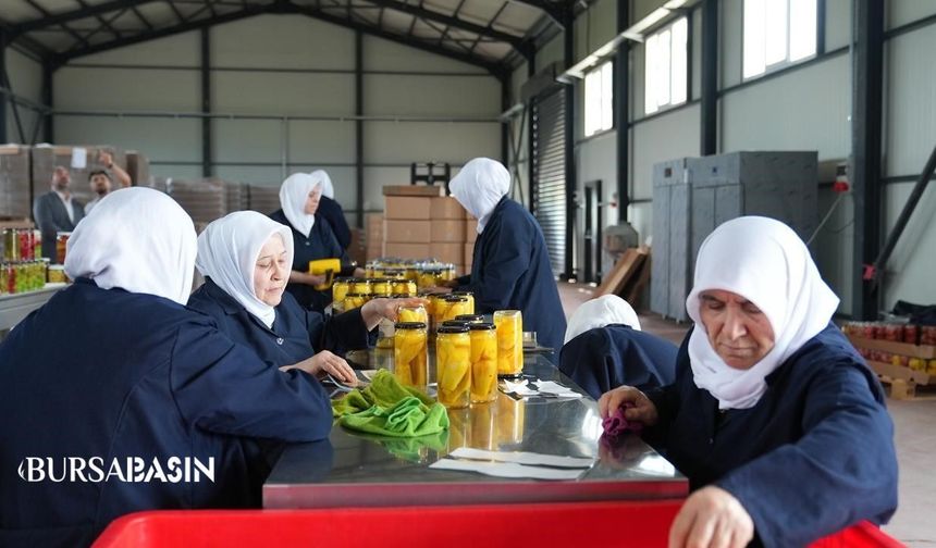 Gürsu’da Kadın Emeğiyle Doğal Turşu Üretimi