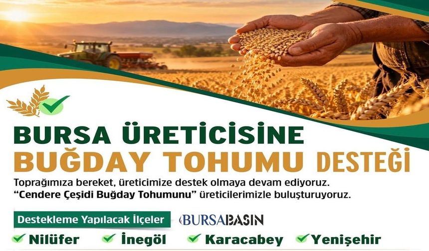 Bursa’da çiftçilere buğday tohumu desteği: Son gün 26 Ekim