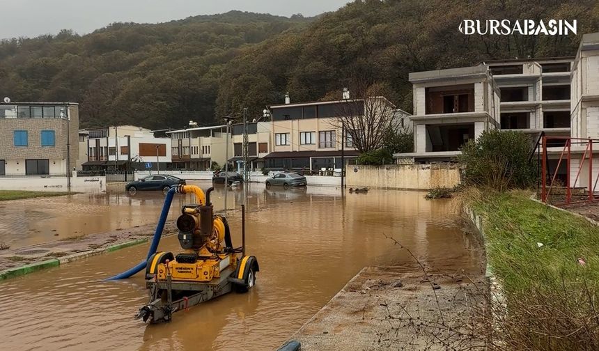 Karacabey'de Yollar Göle Döndü, Evlerin Önünden Balık Tuttular